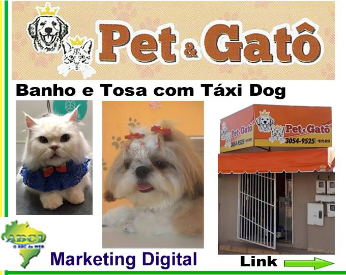 Link_01_PG_ Pet & Gatô_ Banho e Tosa  com Taxi Dog em Valparaíso