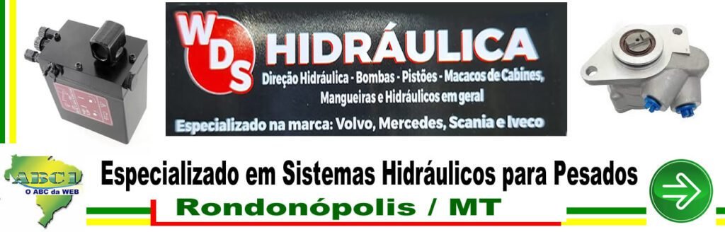 Link_05_WDS-1024x328 Direção Hidráulica , Peças e Serviços no Brasil